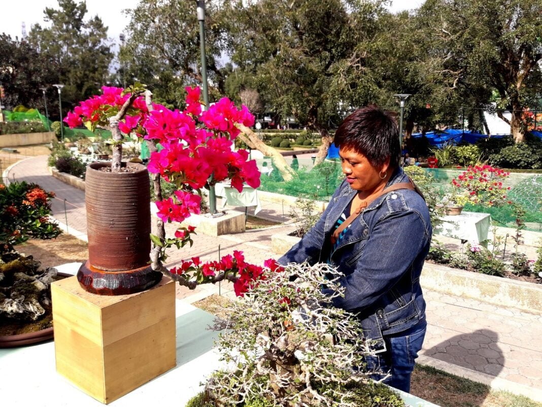 plant growers