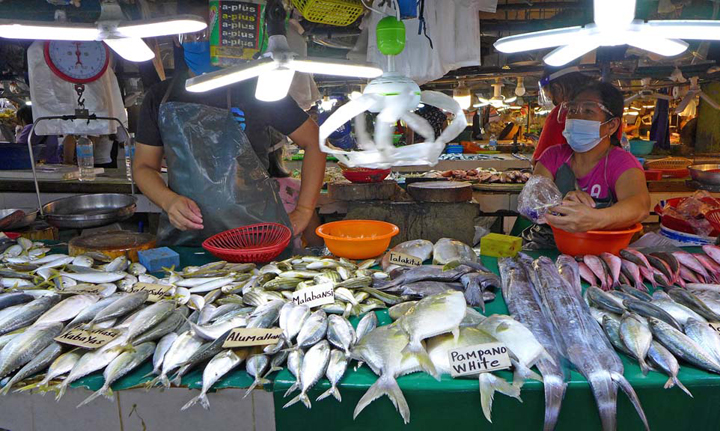 DA chief okays 60,000-MT fish importation for wet market sale