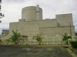 ‘Foreign investments key to going nuclear’