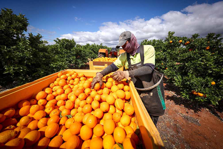 Australia agriculture labor crisis deepens as lockdowns drag on
