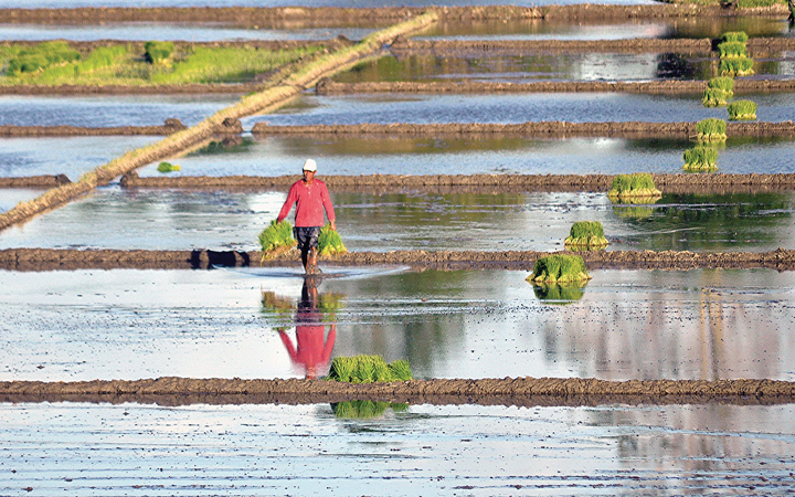 Government urged to expand fertilizer subsidy program for farmers