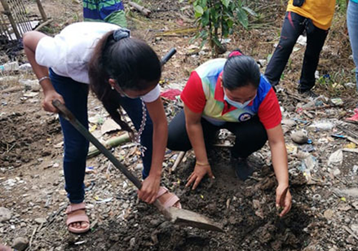 DOST helps Davao del Norte IPs fight hunger through breadfruit cultivation
