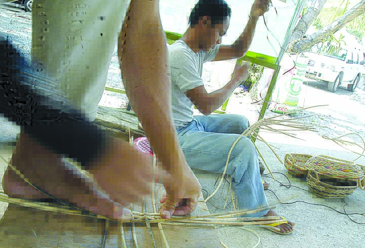 Fiber sector seeks solons’ aid in BSP pivot to plastic