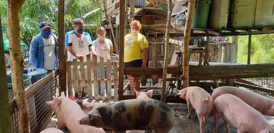 9 na mga barangay sa Zamboanga apektado sa African Swine Fever (ASF)