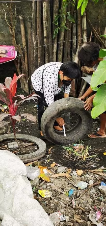 Dengue-cases-in-Bacolod-1