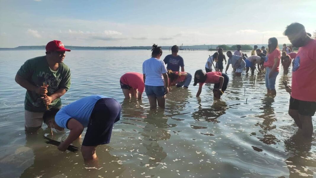 PNP Ilocos Norte-mangrove planting