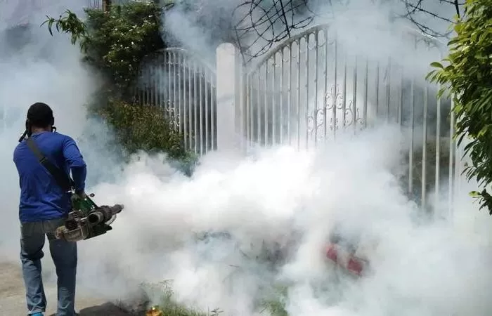 dengue deaths