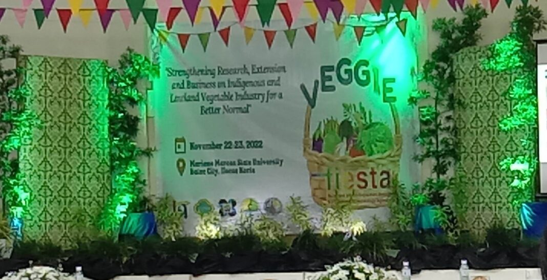 mmsu Fiesta