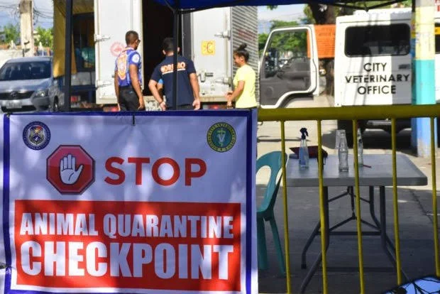 ASF checkpoint in Ilocos Norte