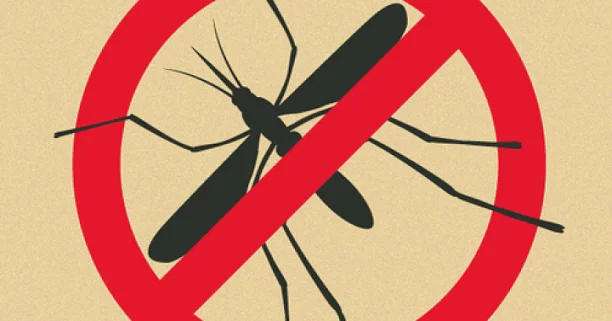 dengues cases drop 74 percent