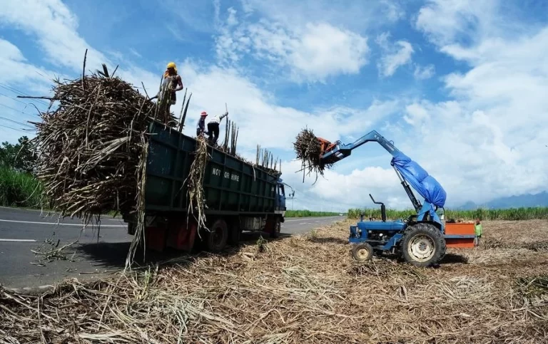Bacolod: Sugar millers back SRA no sugar importation