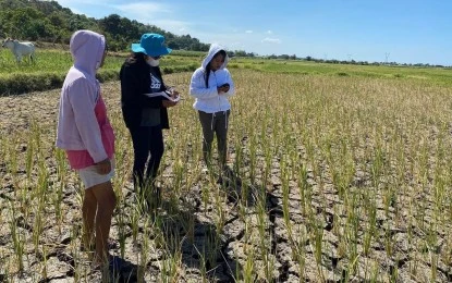 Batac: Ilocos Norte farmers receive water pumps as dry spell intervention