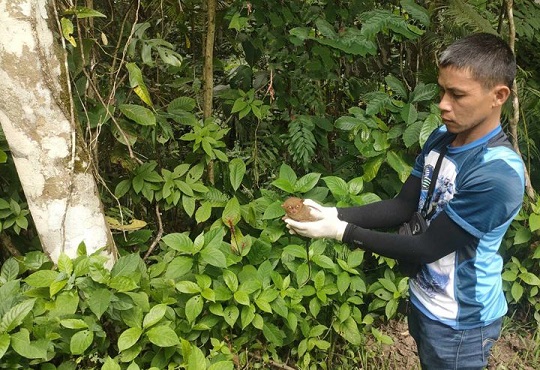 2 Tarsiers rescued in Timolan