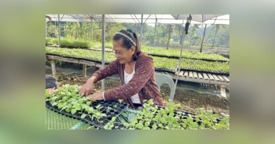 batact-seedling-nursery