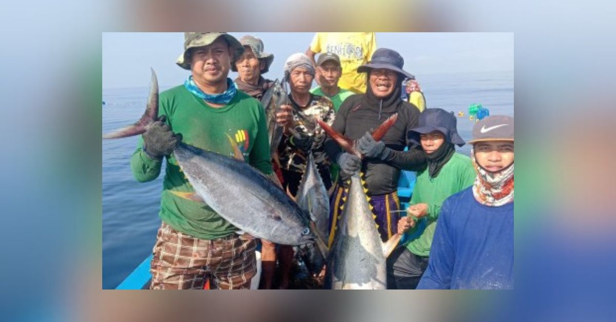 Batac: BFAR-initiated fishing tech boosts livelihood of Ilocos fisherfolk -  Radio Philippines Network