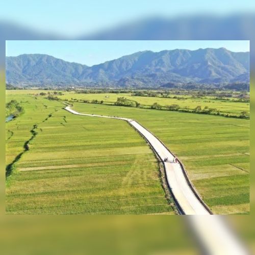 Farm-to-Market Road