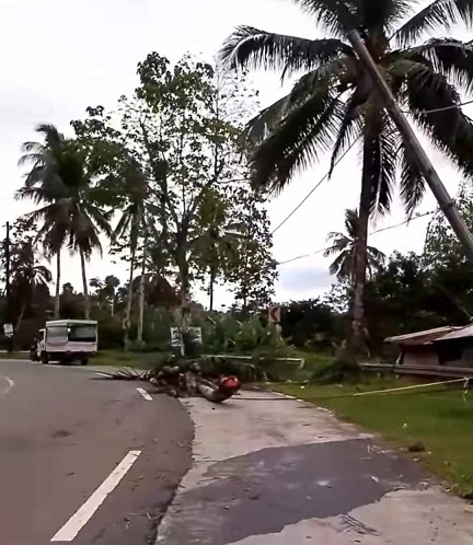 Punoan sa lubi na nasangit sa linya sa internet
