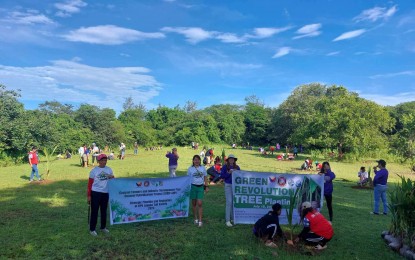 ilocos-norte-coconut-revolution