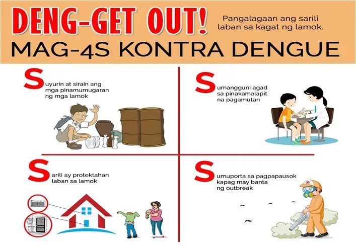 dengue cases rising