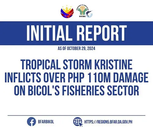 Tropical Storm Kristine inflicts over PHP 100M damage on Bicol's fisheries sector
