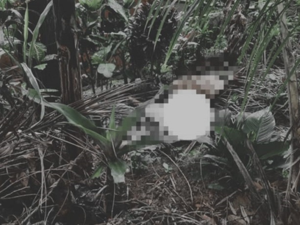 Korean National nga adunay samad pinusilan napalgang patay sa Sugbo