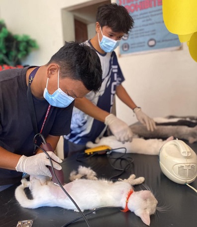 OCVet hay resumi el capada de animal domestico na Enero 2025