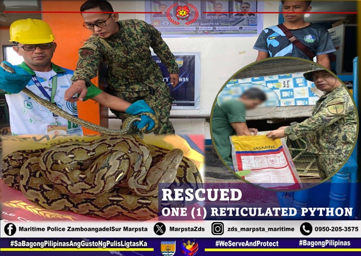 ZDS MARPSTA ya entrega serpiento na PENRO-Zamboanga del Sur