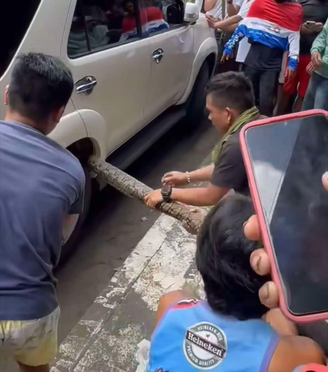Sawa gapabugnaw sa ilalom sa sakyanan nga gaparada, mga tawo nagkaguliyang1