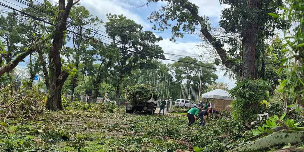 Typhoon-Tino-leaves-13-dead