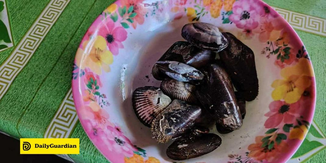 Suspected-food-poisoning-from-seashells-under-probe-in-Bacolod-w