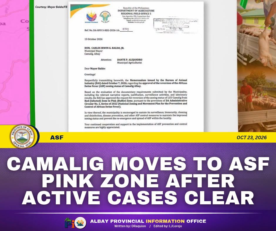 Iriga: Camalig Moves to ASF Pink Zone After Active Cases Clear - Radio ...